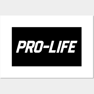 Pro-Life Posters and Art